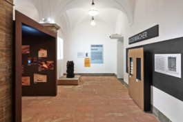 Marcus Alasović Studio