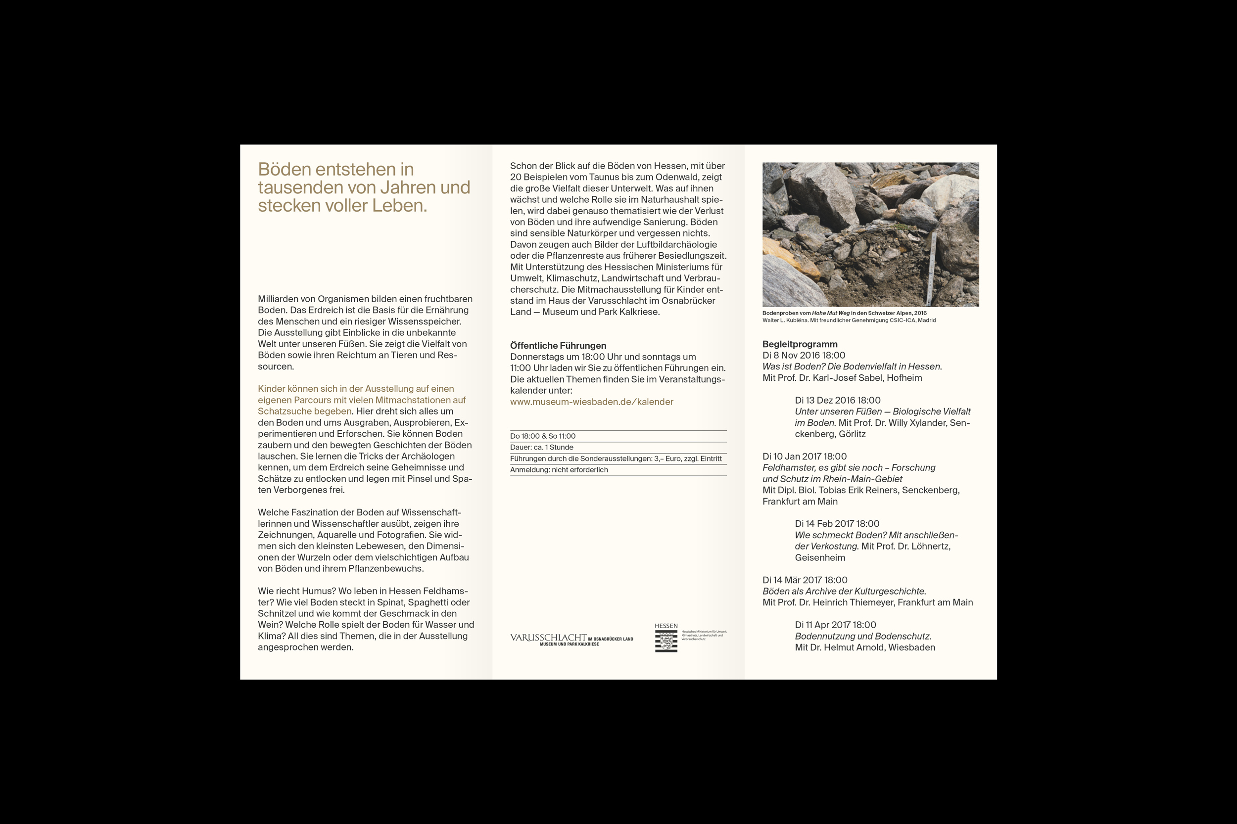 Marcus Alasović Studio