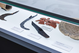 Marcus Alasović Studio