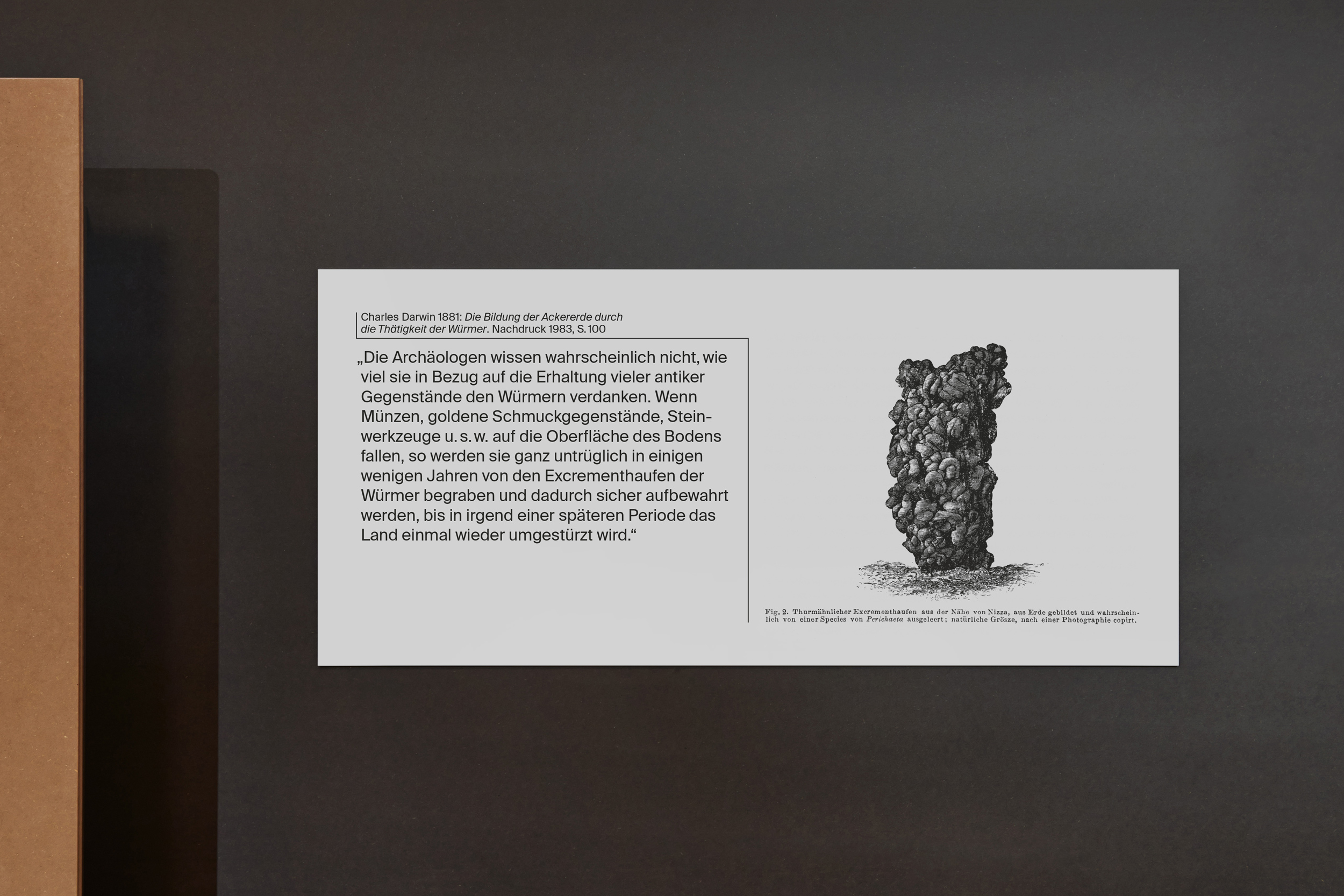 Marcus Alasović Studio