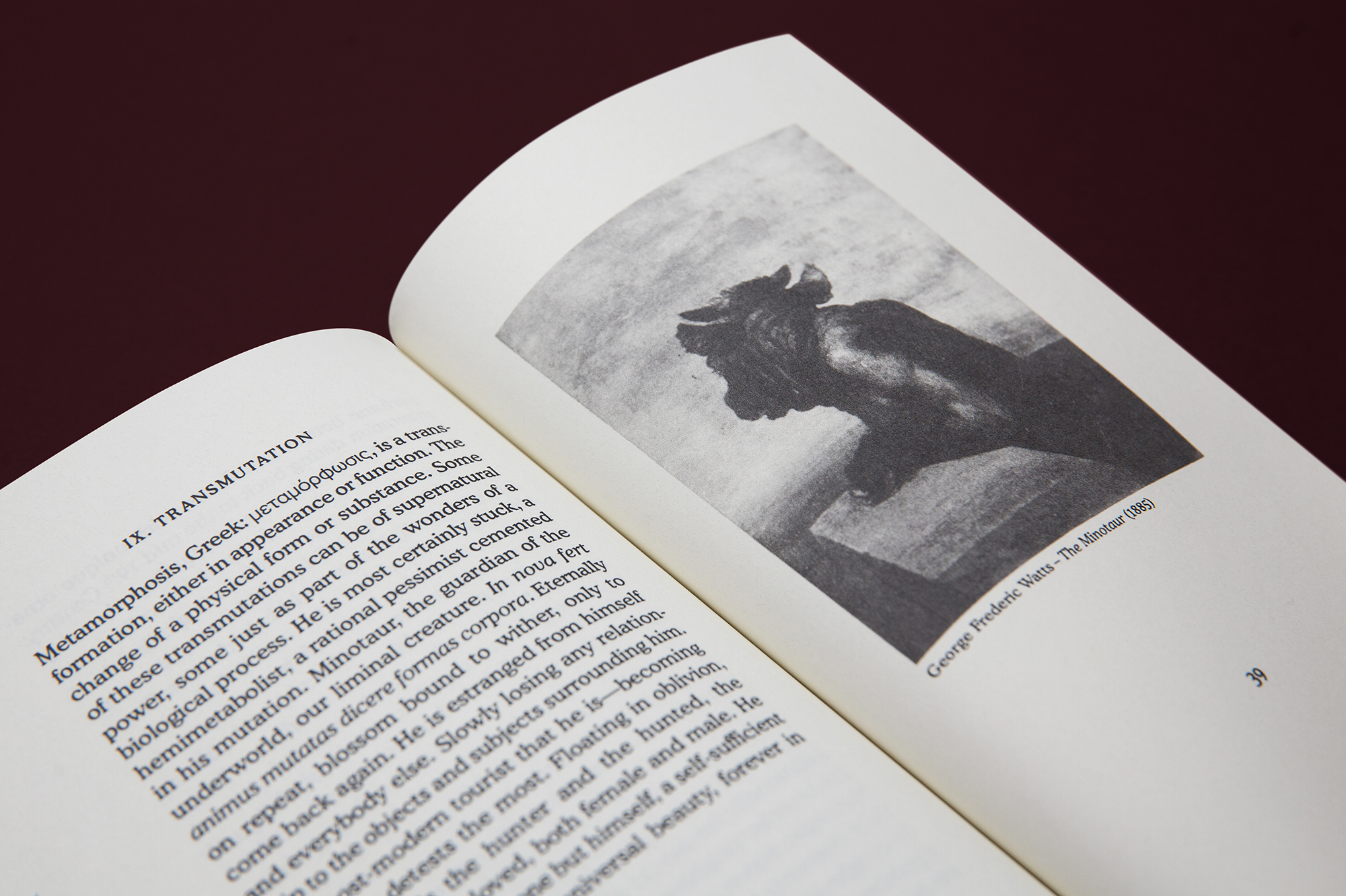 Marcus Alasović Studio