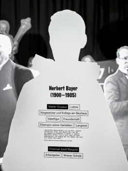 Marcus Alasović Studio