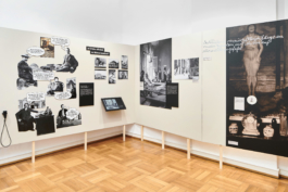 Marcus Alasović Studio