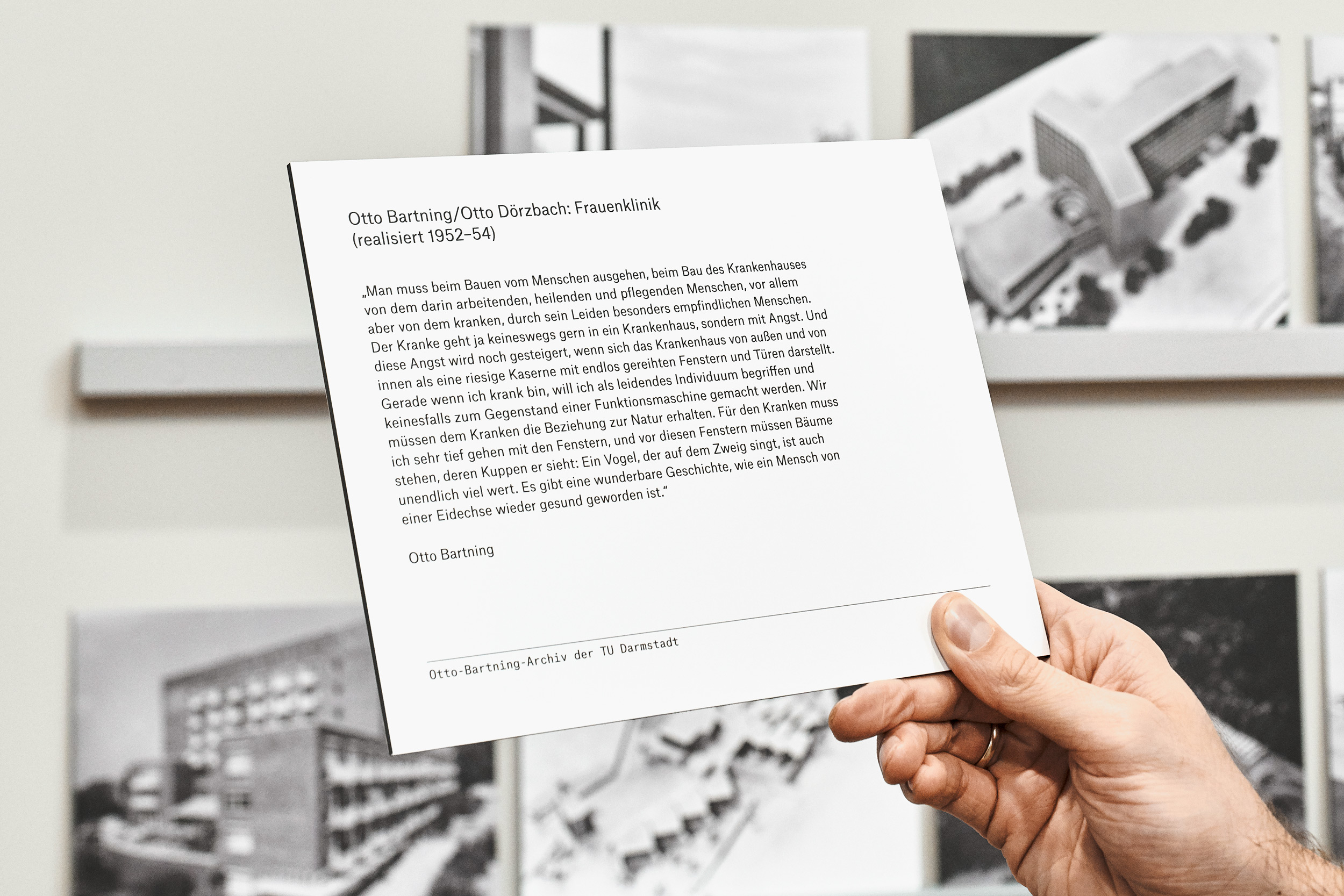 Marcus Alasović Studio