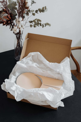 Marcus Alasović Studio