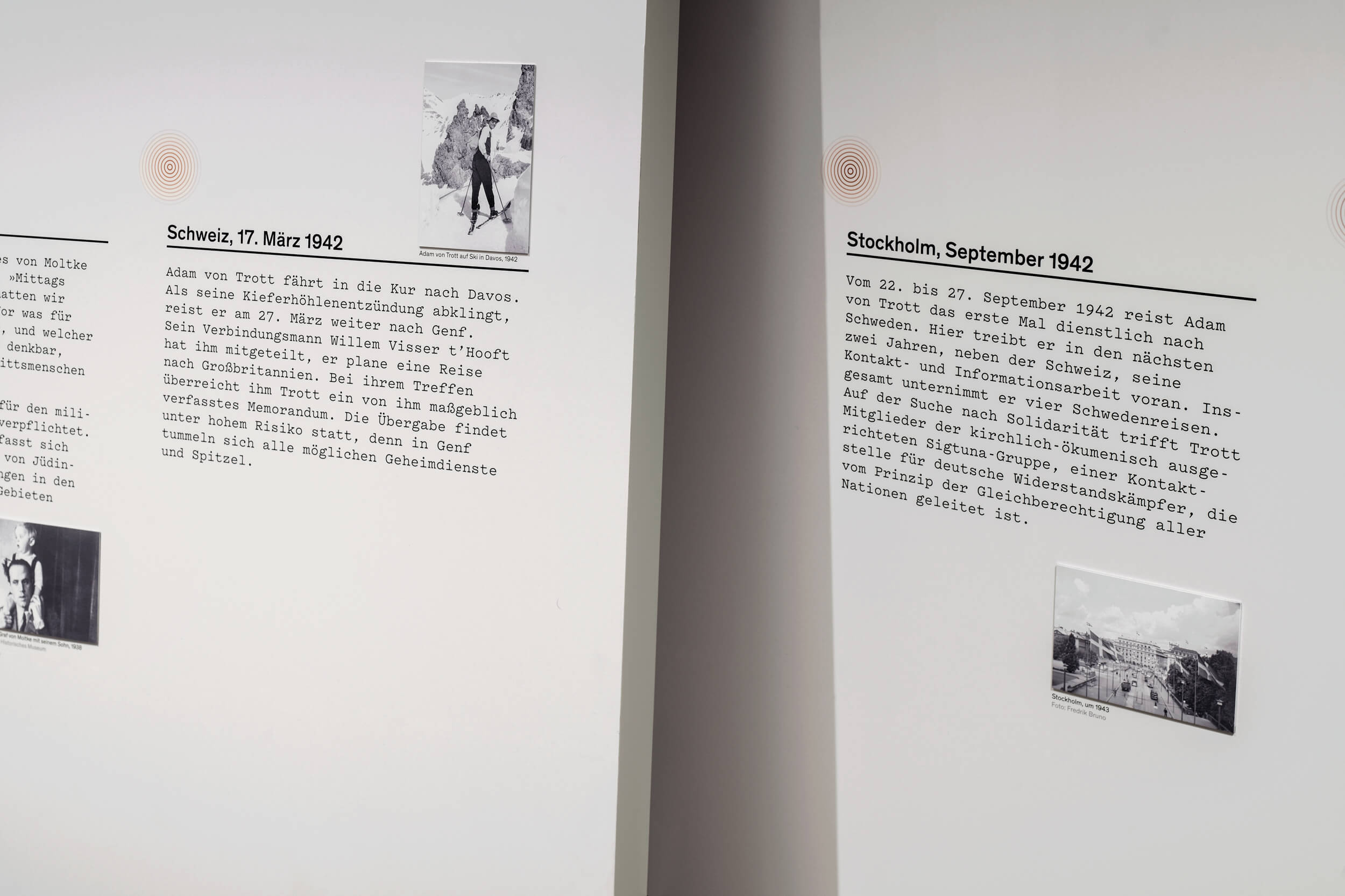 Marcus Alasović Studio