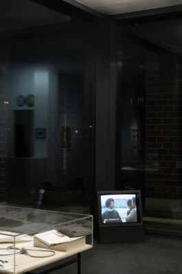 Marcus Alasović Studio