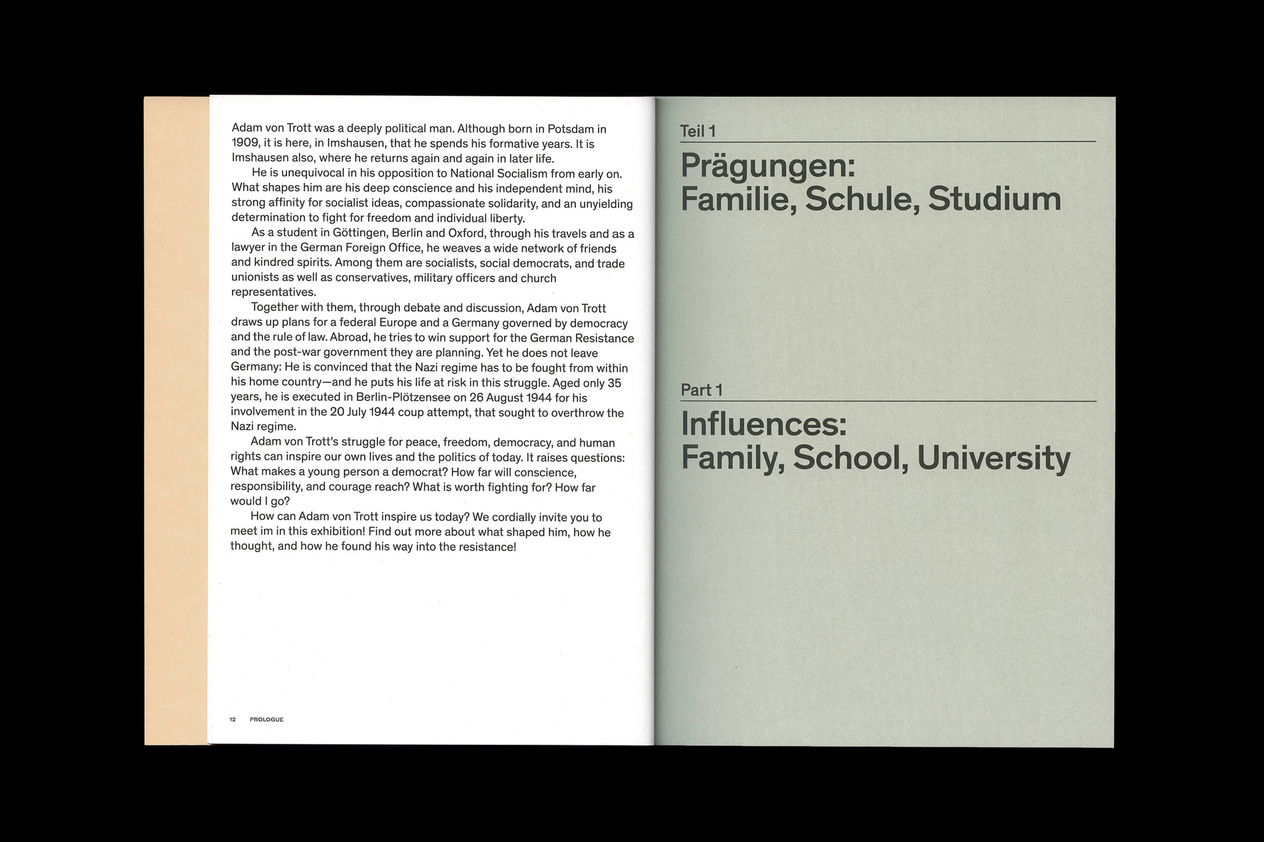 Marcus Alasović Studio