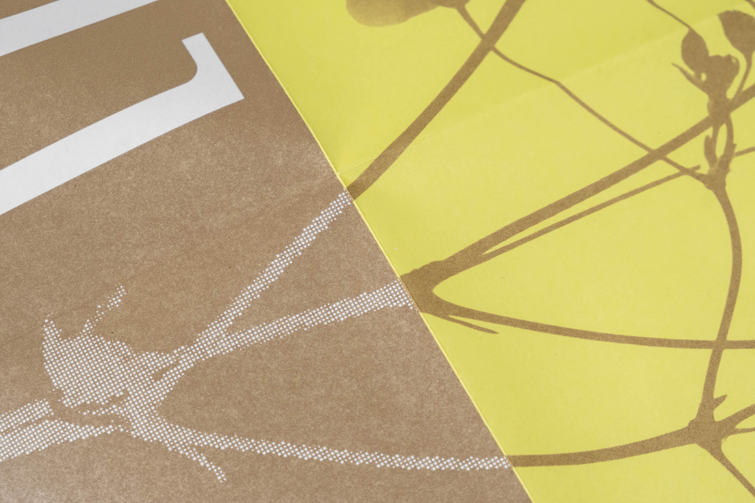 Marcus Alasović Studio