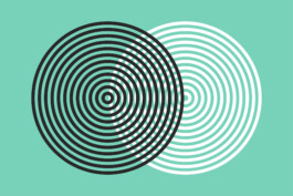 Marcus Alasović Studio