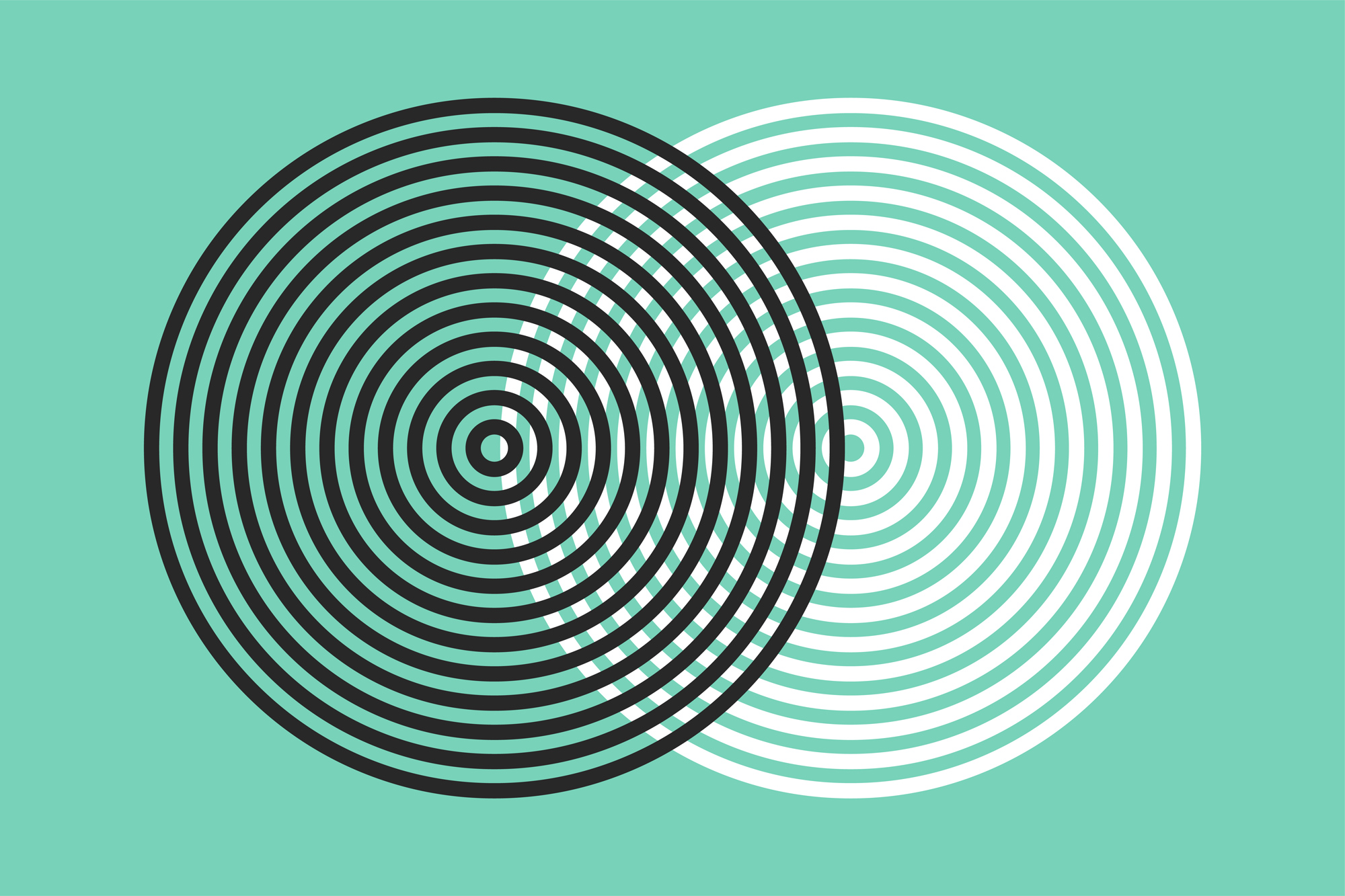 Marcus Alasović Studio